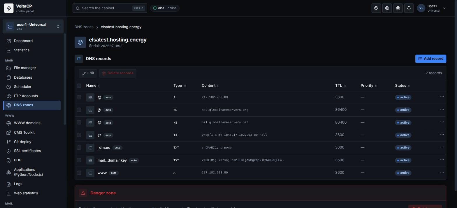 DNS zones and DNS records of a domain