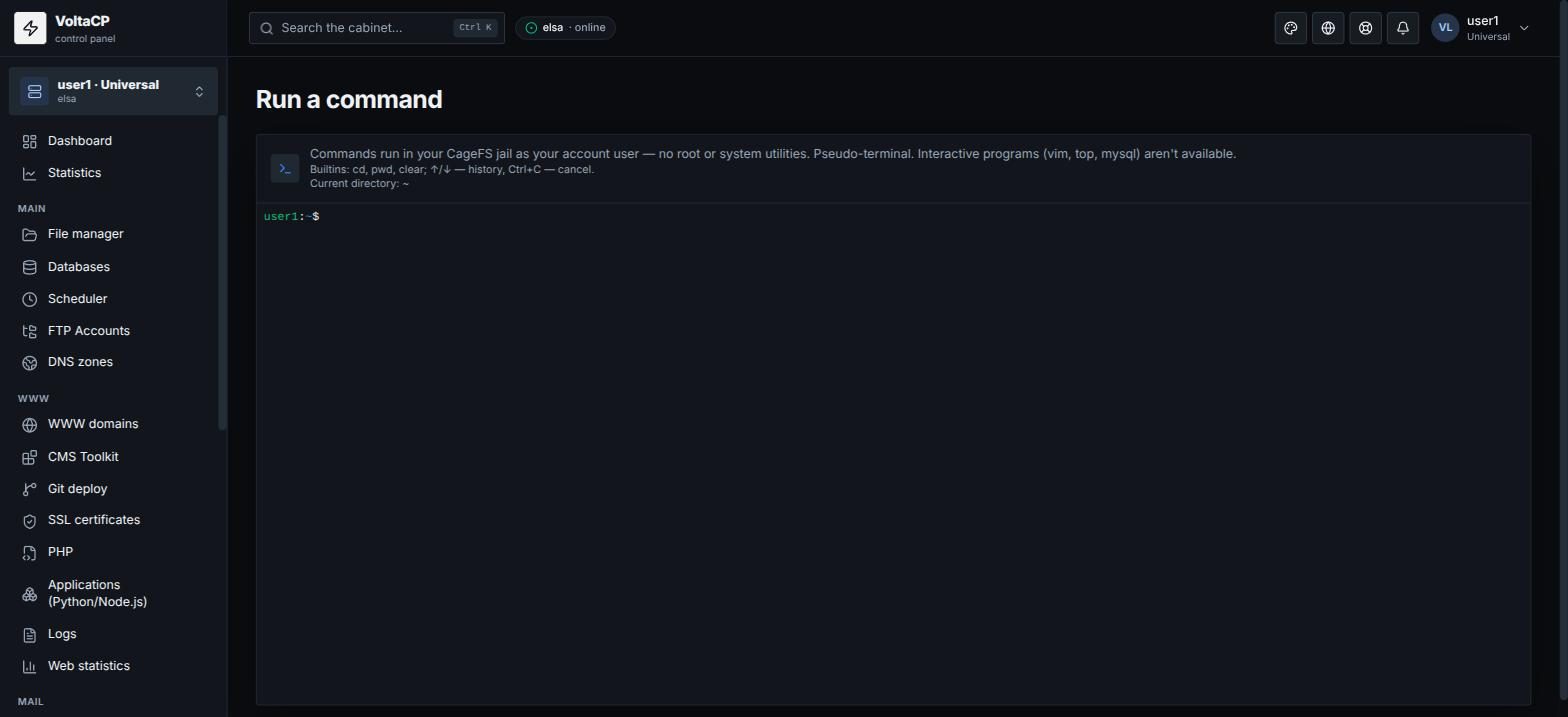 How to run a console command from the panel
